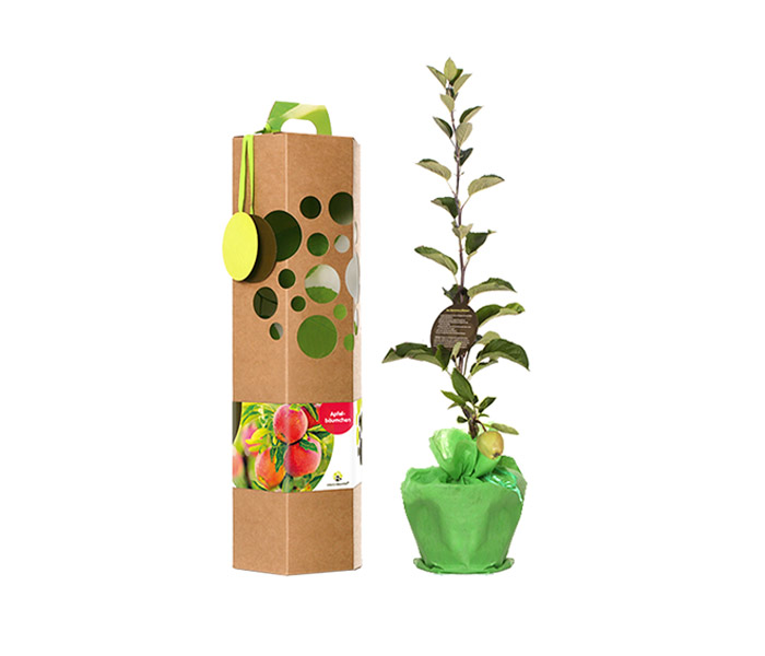 Apfelbaum