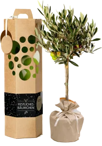 Neujahrsgeschenk