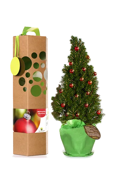 Weihnachtsbaum