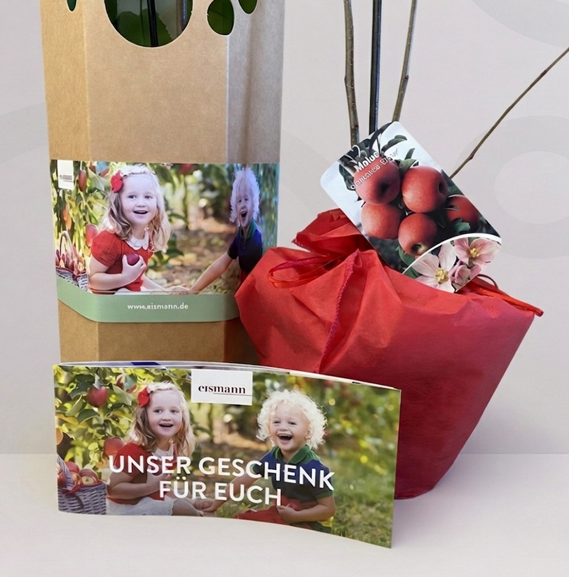 Werbegeschenk Lorbeerbaum TÜV Nord