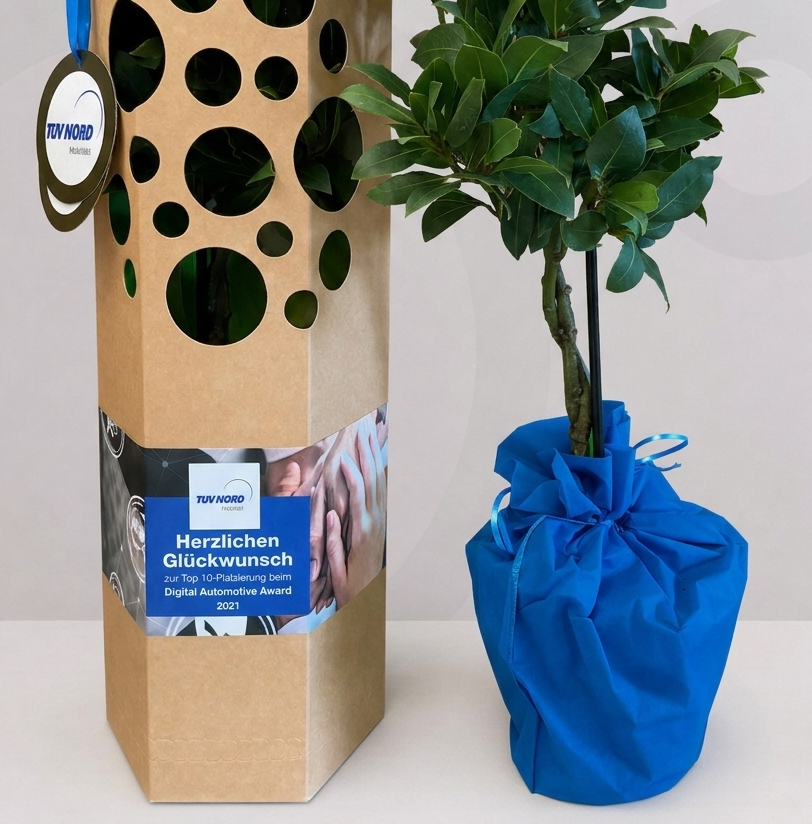 Werbegeschenk Lorbeerbaum Tuv Nord